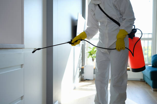 Best Mold Testing  in Chino Hills, CA