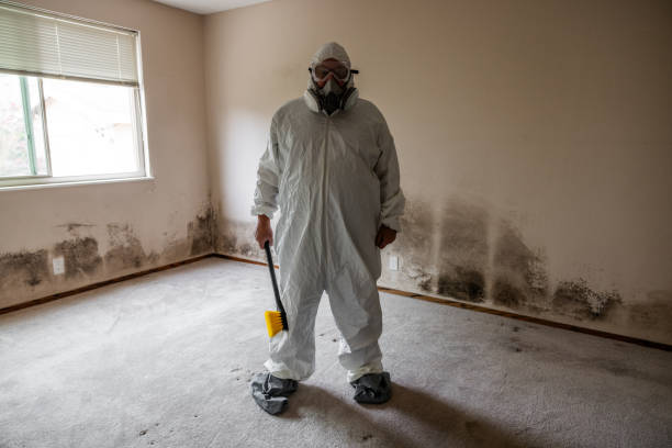 Best Emergency Mold Removal  in Chino Hills, CA